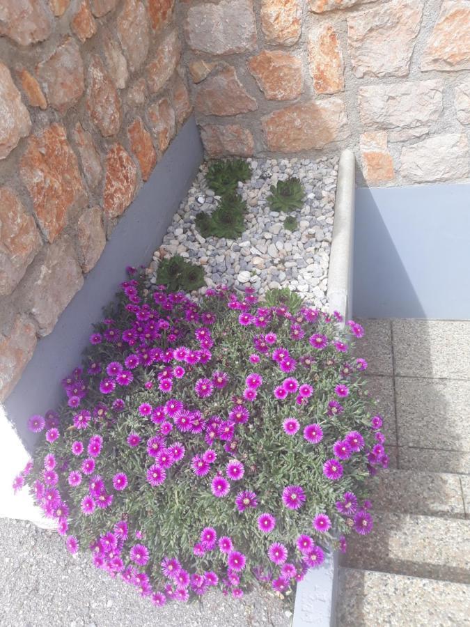 Villa Mihaela - Apartment Ana Cesarica Zewnętrze zdjęcie