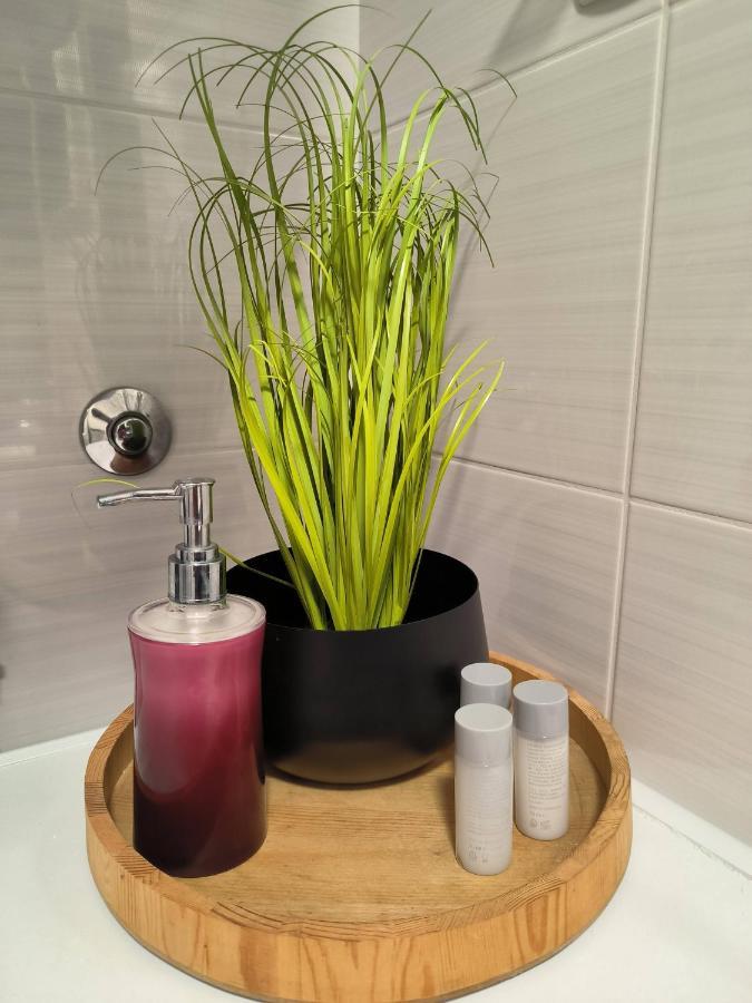 Villa Mihaela - Apartment Ana Cesarica Zewnętrze zdjęcie