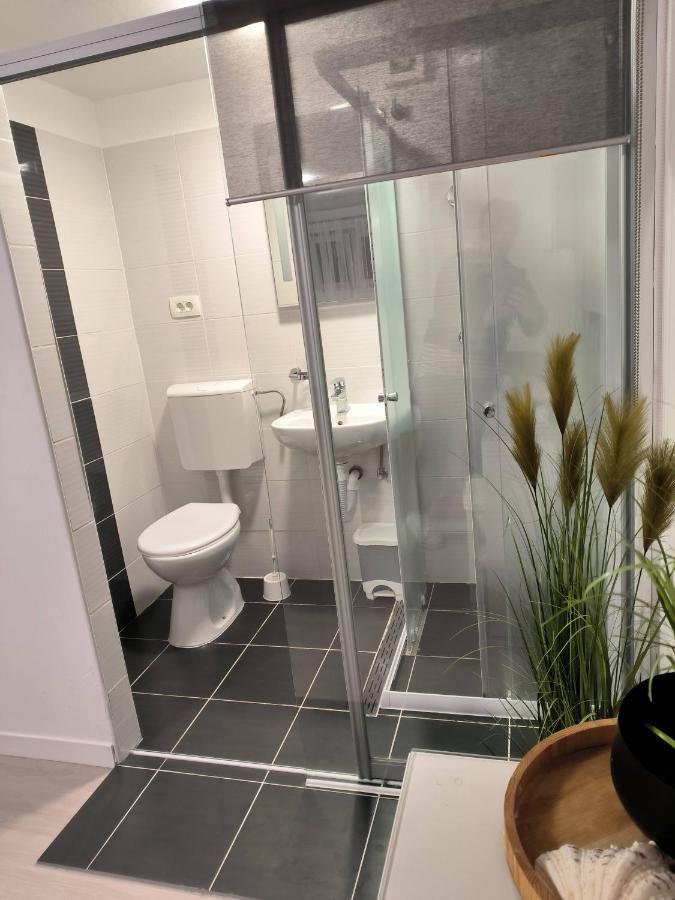 Villa Mihaela - Apartment Ana Cesarica Zewnętrze zdjęcie